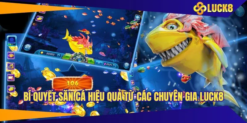 Chia sẻ cho tân binh kinh nghiệm bắn cá LUCK8 từ chuyên gia