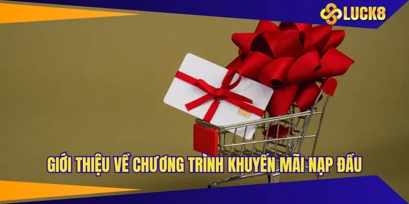 Giới thiệu về chương trình khuyến mãi nạp đầu khổng lồ