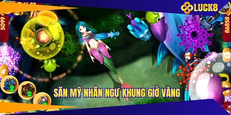 Săn Mỹ Nhân Ngư theo khung giờ vàng