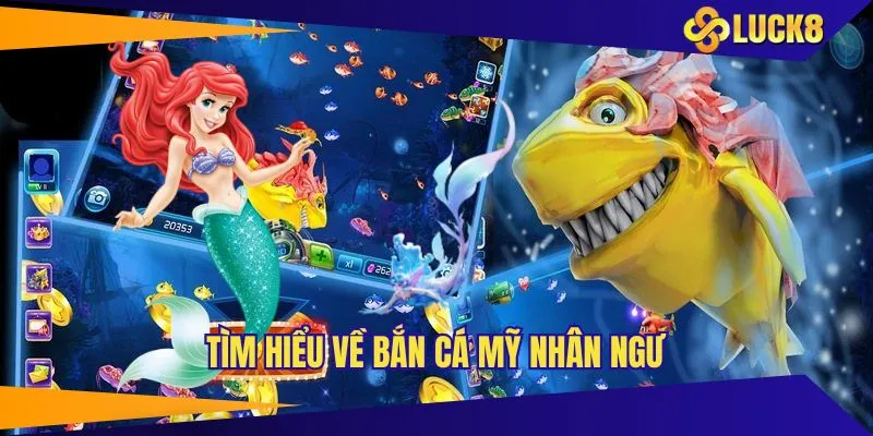 Tìm hiểu đôi nét về bắn cá Mỹ Nhân Ngư